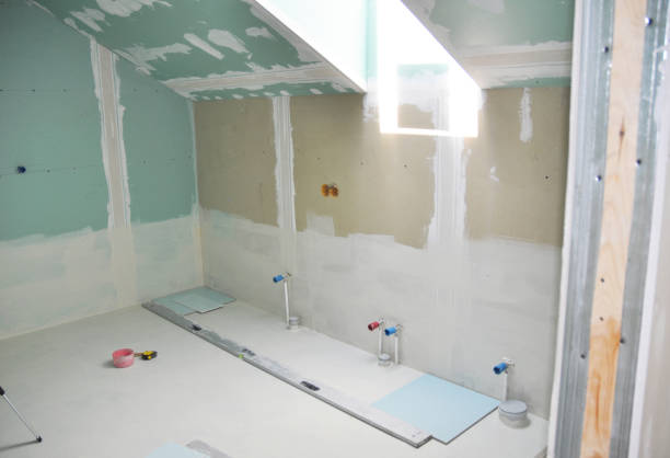 Mold Odor Removal Services in Carlyle, IL