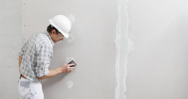 Best Airborne Mold Testing  in Carlyle, IL