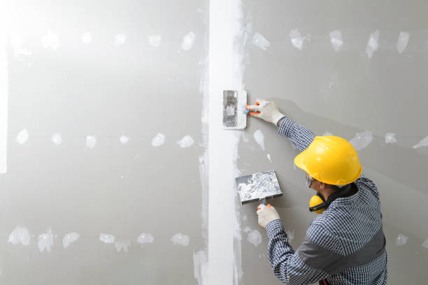 Best Mold Prevention Services  in Carlyle, IL