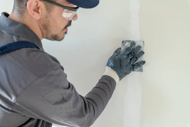Best Emergency Mold Remediation  in Carlyle, IL