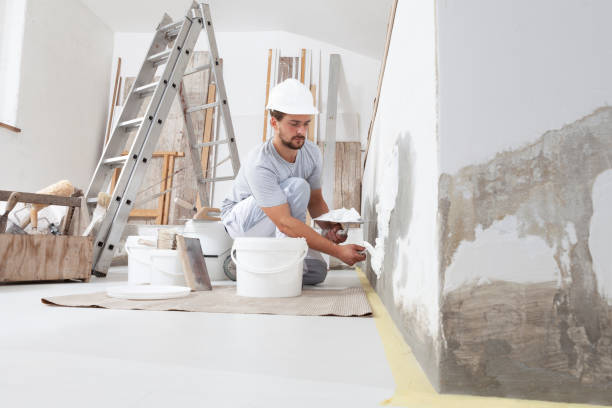 Best Water Damage & Mold Remediation  in Carlyle, IL