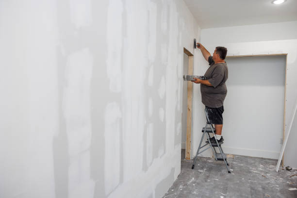 Best Asbestos and Lead Testing During Mold Inspection  in Carlyle, IL