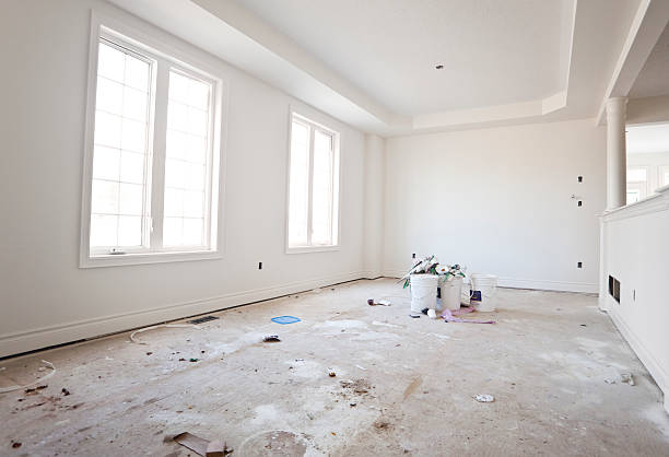 Best Mold-Related Health Consultation  in Carlyle, IL