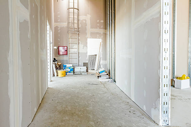 Best Post-Remediation Verification Testing  in Carlyle, IL