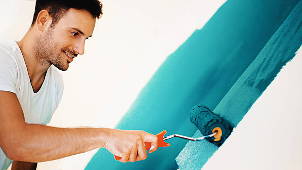 Best Attic Mold Removal  in Carlyle, IL