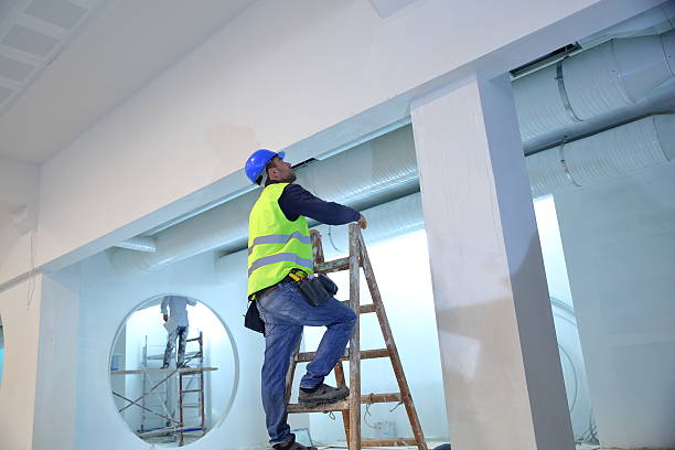 Reliable Carlyle, IL Mold Removal Solutions