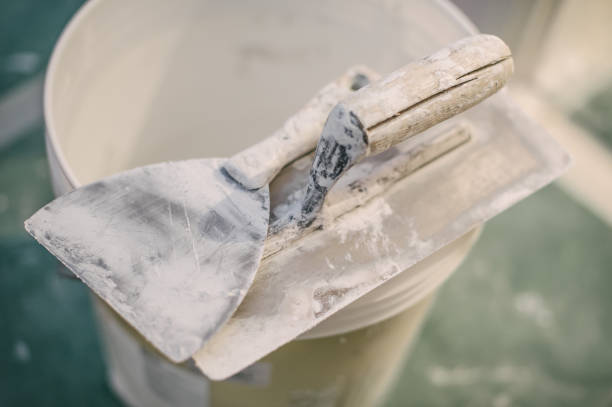 Best Forensic Mold Investigation  in Carlyle, IL